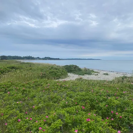 Semesterbostad Huset Ved Stranden *